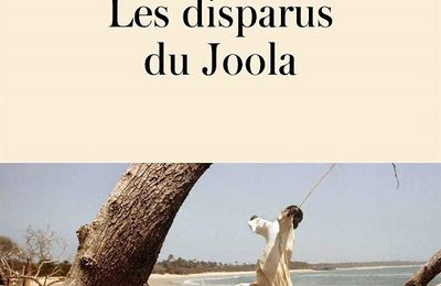 Les disparus du Joola d'Adrien Absolu