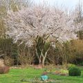 retour au printemps
