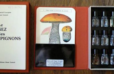 きのこの臭い、Odeur des champignons, Introduzione alla Micosmologia by Prof. Riccardo Mazza ( 1996 ) 
