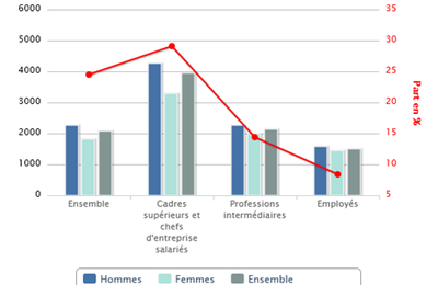 La division sexuée du marché du travail (horizontale et verticale) et Les écarts de salaires