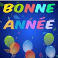 BONNE ANNEE 2009