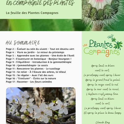 L'infolettre PRINTEMPS 2024 des Plantes compagnes