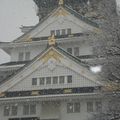 Osaka - Castle Museum : 9 fevrier