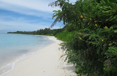 Alors que le groupe Accord s'installe en Indonésie, Edrooseo crée une ONG pour préserver son île