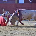 Vicente SOLER coupe 2 oreilles à Vinaros Dimanche 7 août 2016