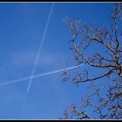 113/365, le 10 Mars 2012