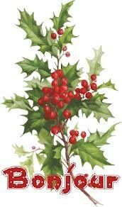 bonjour 4