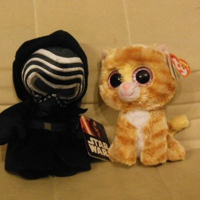 Nouveaux pensionnaires...