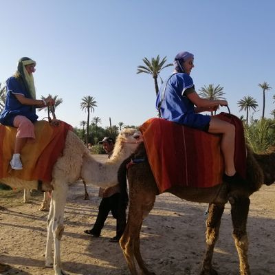 excursionmaroc