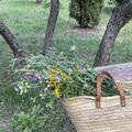 Je vous souhaite un lundi de Pentecôte fleuri et ensoleillé..
