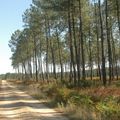 L’Ecologie vraie et réelle survivra !..fin d’une belle aventure.