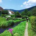 Le Ballon d'Alsace, le pays de la caillasse