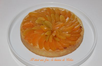 Tarte coco abricot 