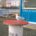 Souvenirs de vacances....en vendée