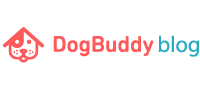 Un des blog préférés de DogBuddy