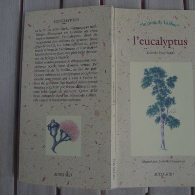 2- Bibliographie sur les eucalyptus