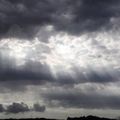 FRAGMENTS ET LOUANGES...Extrait