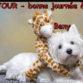 Prenez un instant pour lire ces citations et regarder quelques belles images de nos amis canins !