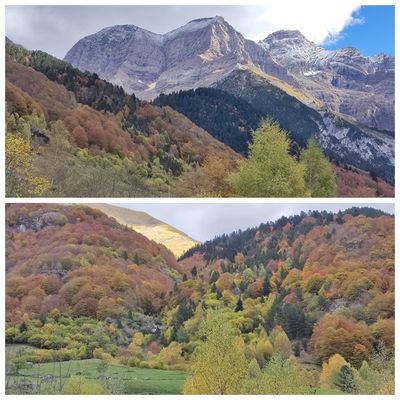 L'automne en montagne