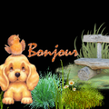 Un jardin doit  être façonné avec amour ,.... 