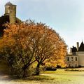 Château de Brézé automne