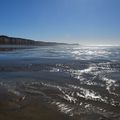 Cliffs by low tide