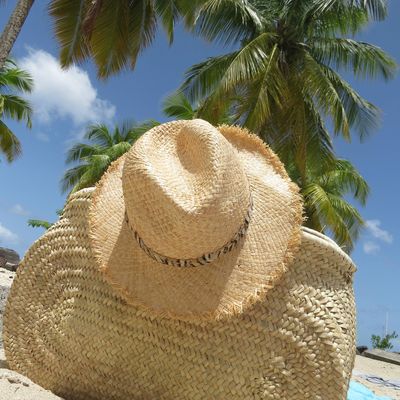 En direct du paradis ...