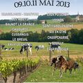 Terroirs et Bulles 9, 10 et 11 mai 2013