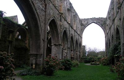 KERITY-PAIMPOL : l'abbaye de Beauport