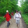 Balade en forêt de Grésigne