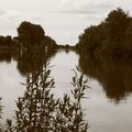 En suivant la Charente... Bazil a reussi à se