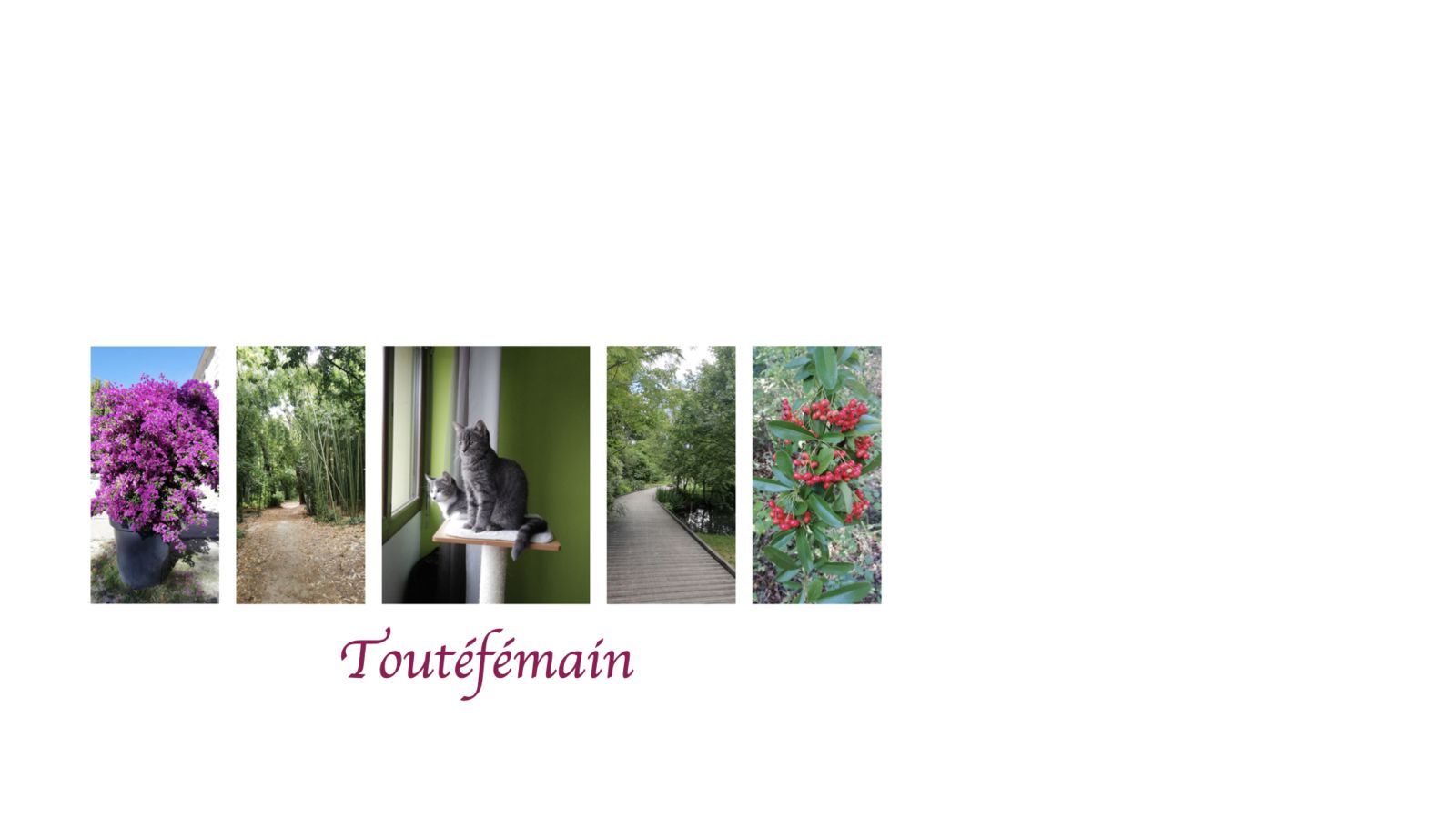 toutéfémain