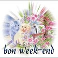 bon week end