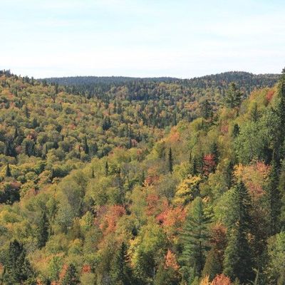 L'automne qui jouait à cache-cache