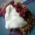 Crumble aux fruits rouges 