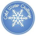 |Bilan|Cold Winter Challenge (2019-2020)