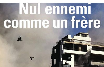 Nul ennemi comme un frère, roman noir de Frédéric Paulin