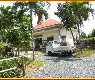 MON CHIEN COMMANDÉ PAR UN CHIEN !