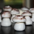 Forêt de champignons - meringue suisse