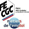 Déclaration CFE CGC métiers de l’emploi lue au  CHSCT de Languedoc Roussillon  20/01/2016 