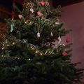 Sapin 2013