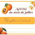 Activité d'été !