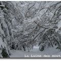 A la neige #1