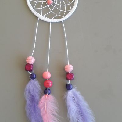 LES PETITS DERNIERS DE LA FAMILLE ATTRAPE REVES