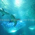 Attaque mortelle de requin : La sénatrice Farreyrol souligne l'imprudence du surfeur