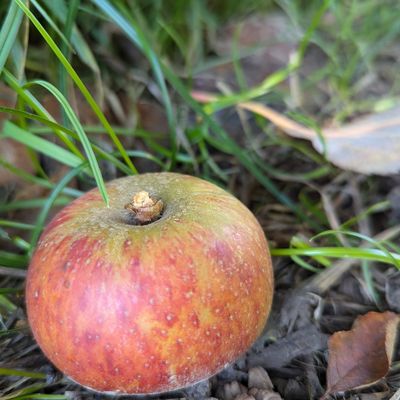 Week-end du 13&14 Septembre