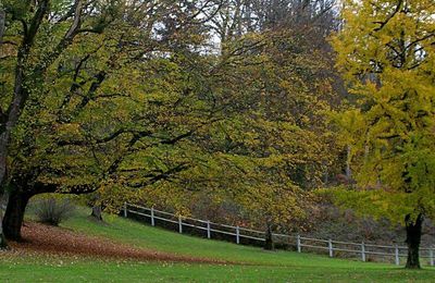 SAMEDI 7 OCTOBRE : escapade dans le Bas-Berry