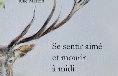 Se sentir aimé et mourir à midi, Julie Marion