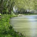 Toulouse - Carcassonne par le Canal du Midi