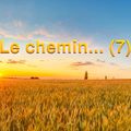 Le chemin… (7)